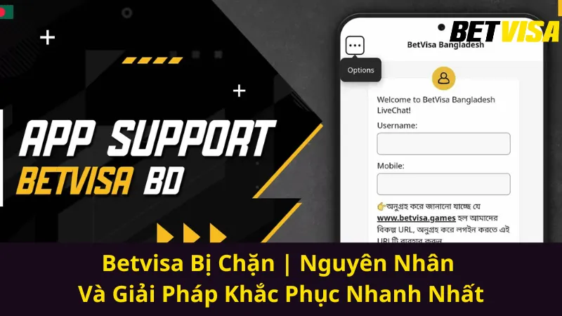 betvisa-bi-chan-nguyen-nhan-va-giai-phap-khac-phuc-nhanh-nhat