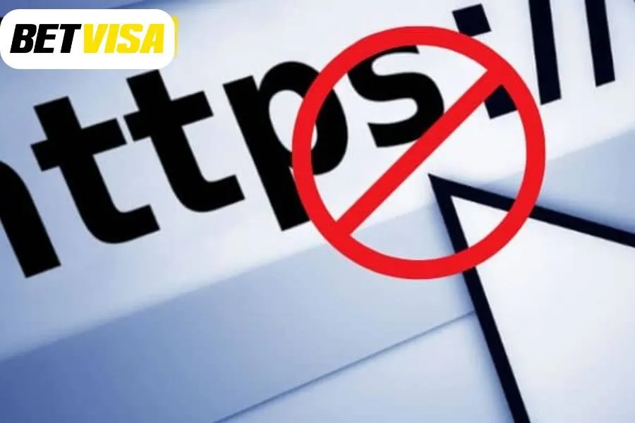 Sơ lược thông tin chung về link vào betvisa