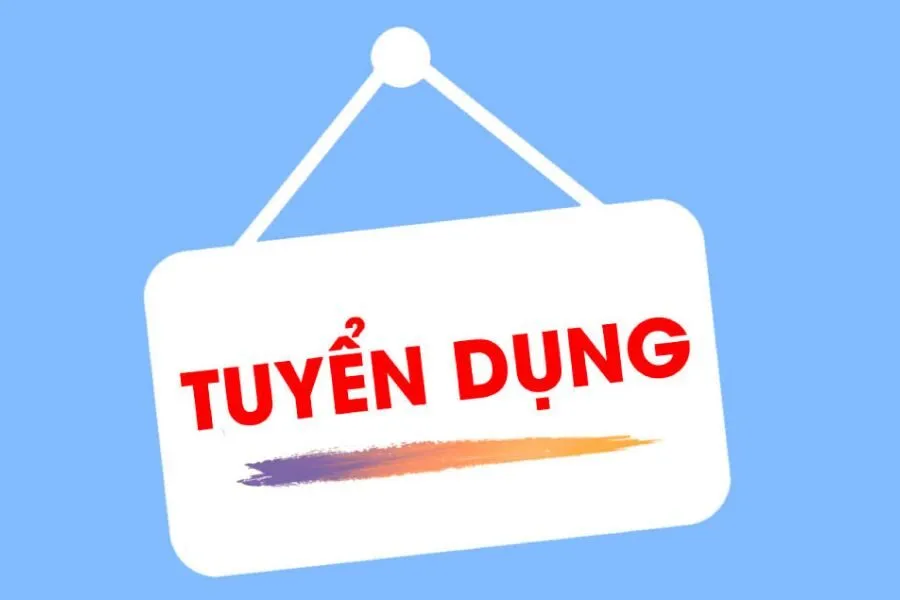 Thông tin tuyển dụng Betvisa mới nhất năm 2025